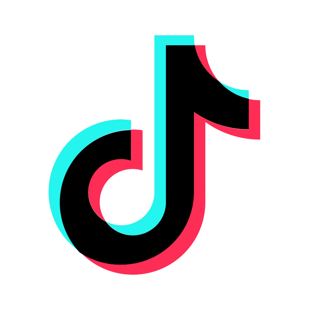 Option 6 Tiktok