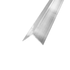 Boston Sink Clip Stainless Steel - 6 Pack